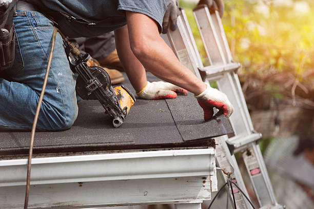 Best Roof Gutter Cleaning  in Stephens City, VA
