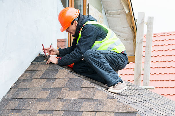 Best Roof Gutter Cleaning  in Stephens City, VA